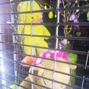 Meet your Posher, Kejsi